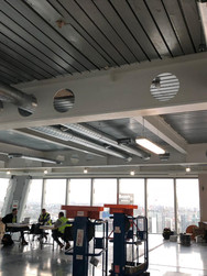BDSL_Scalpel Building(6).jpeg