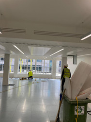 BDSL_Cavendish Square(4).jpeg