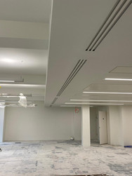 BDSL_Cavendish Square(3).jpeg