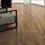 Thumbnail: Burnished Elm | NEXXL34
