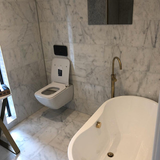 Toilet sanitaryware installation, London
