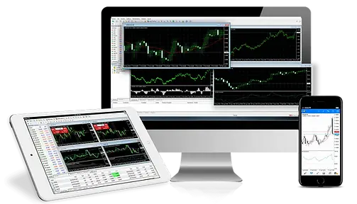 EcoForex Managed Funds.webp