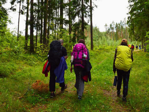 Camino de Santiago... in Estonia?