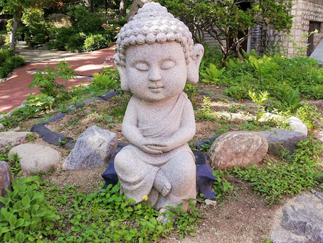 Reprendre le pouvoir sur sa vie avec force et sérénité