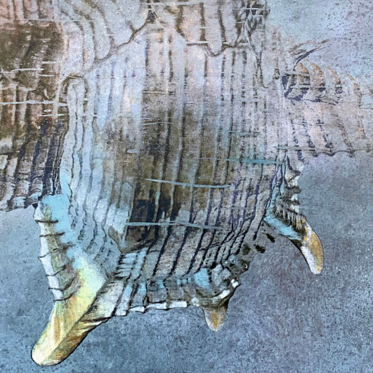 Muschelwerk Ausschnitt.jpeg