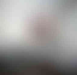 SteinGigant 100x120 1400.-.jpeg
