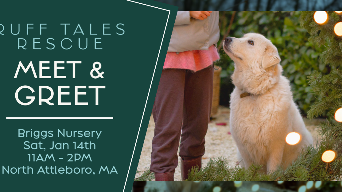 Meet & Greet - North Attleboro, MA
