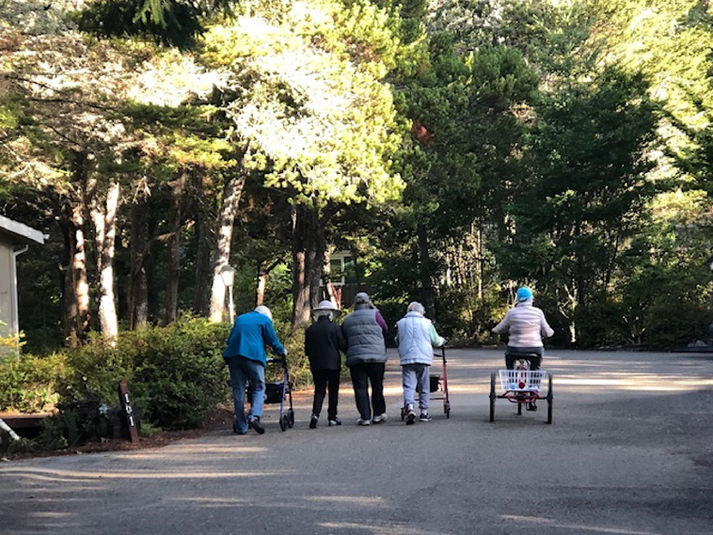 WCA Woods Cooperative Daily Morning Walk Group