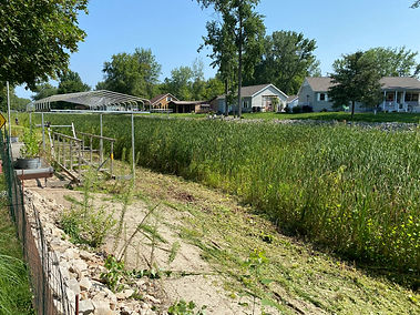 IMG-4708.jpg