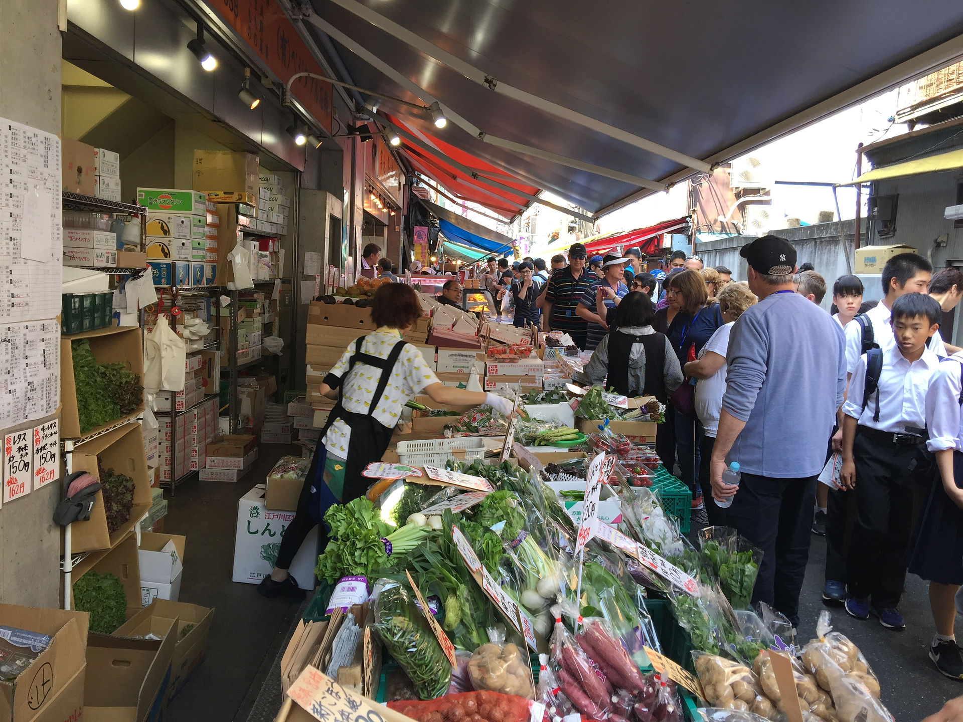 Tsukiji, o Mercado de Peixe em Tóqui