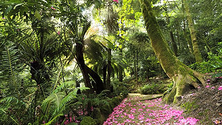 Parque da Pena