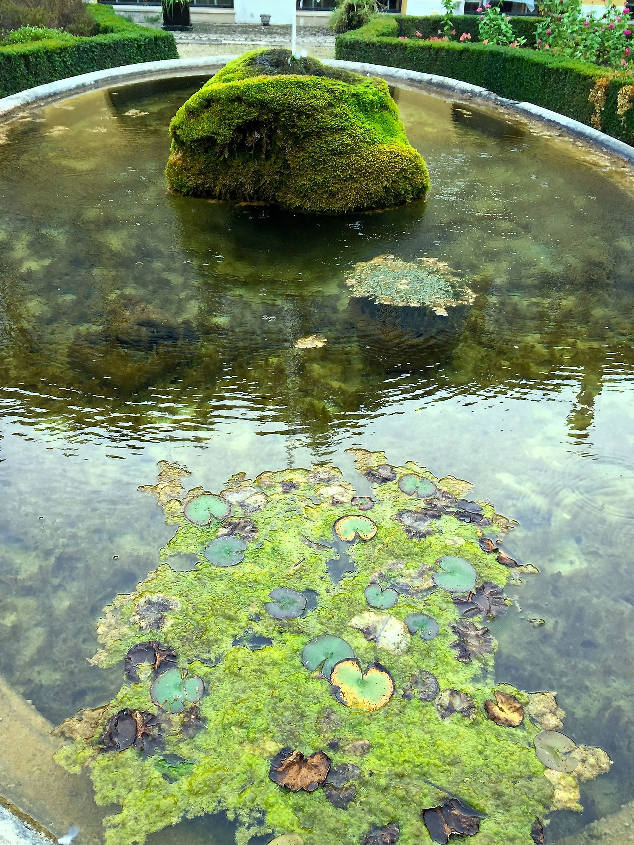 Jardim | Quinta das Lágrimas