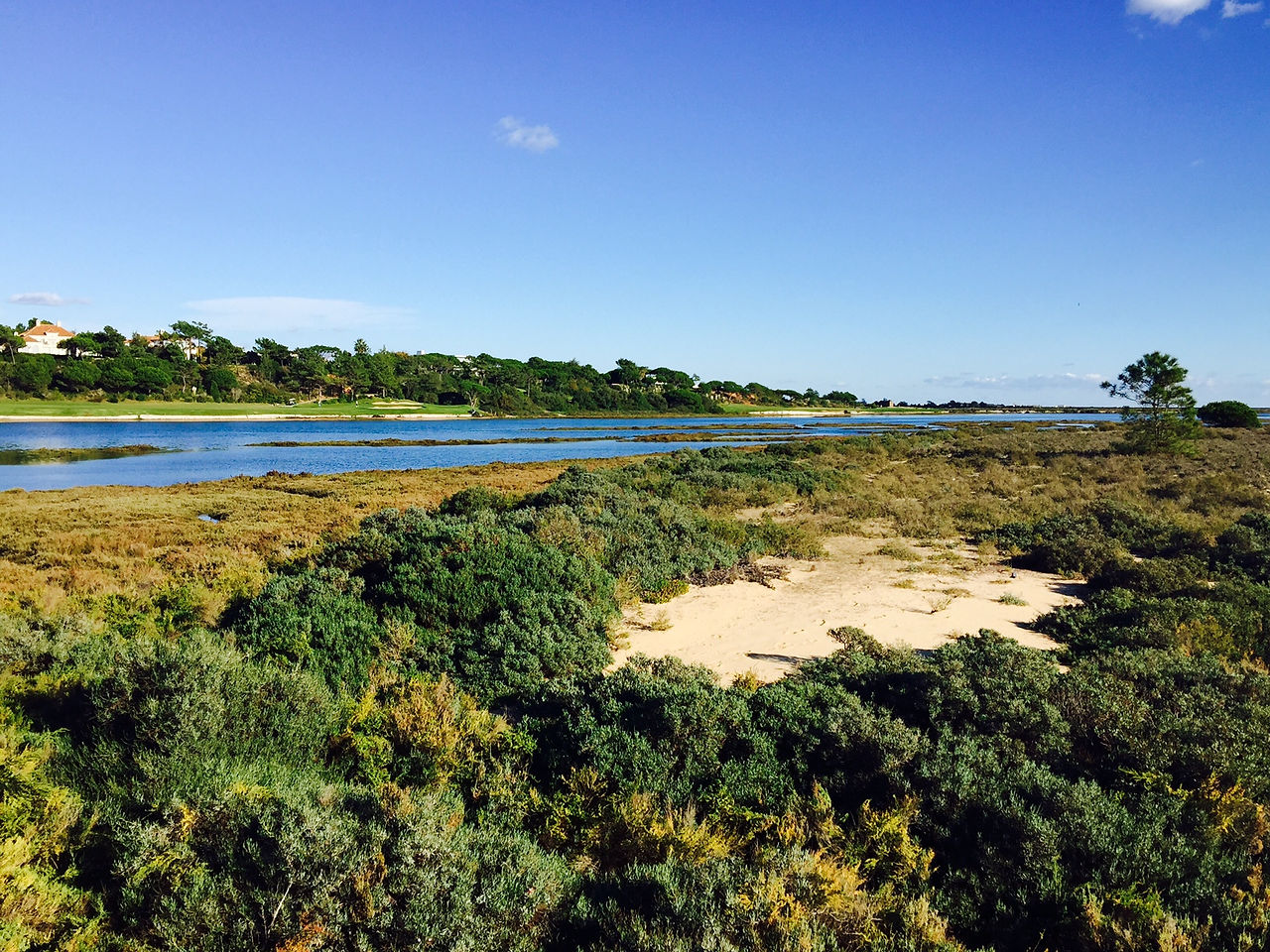 Birdwatching na Ria Formosa