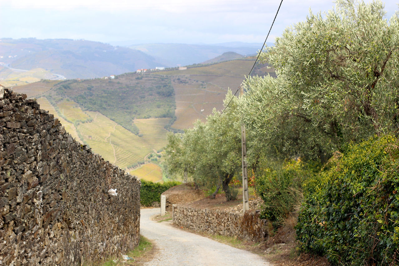 Quinta do Casaldronho Wine Hotel