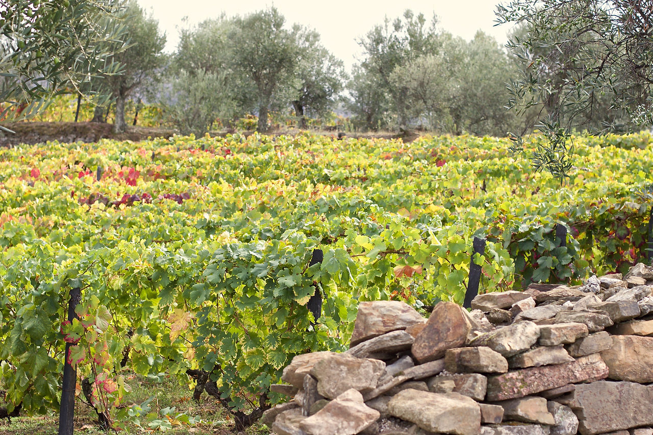 Quinta do Casaldronho Wine Hotel