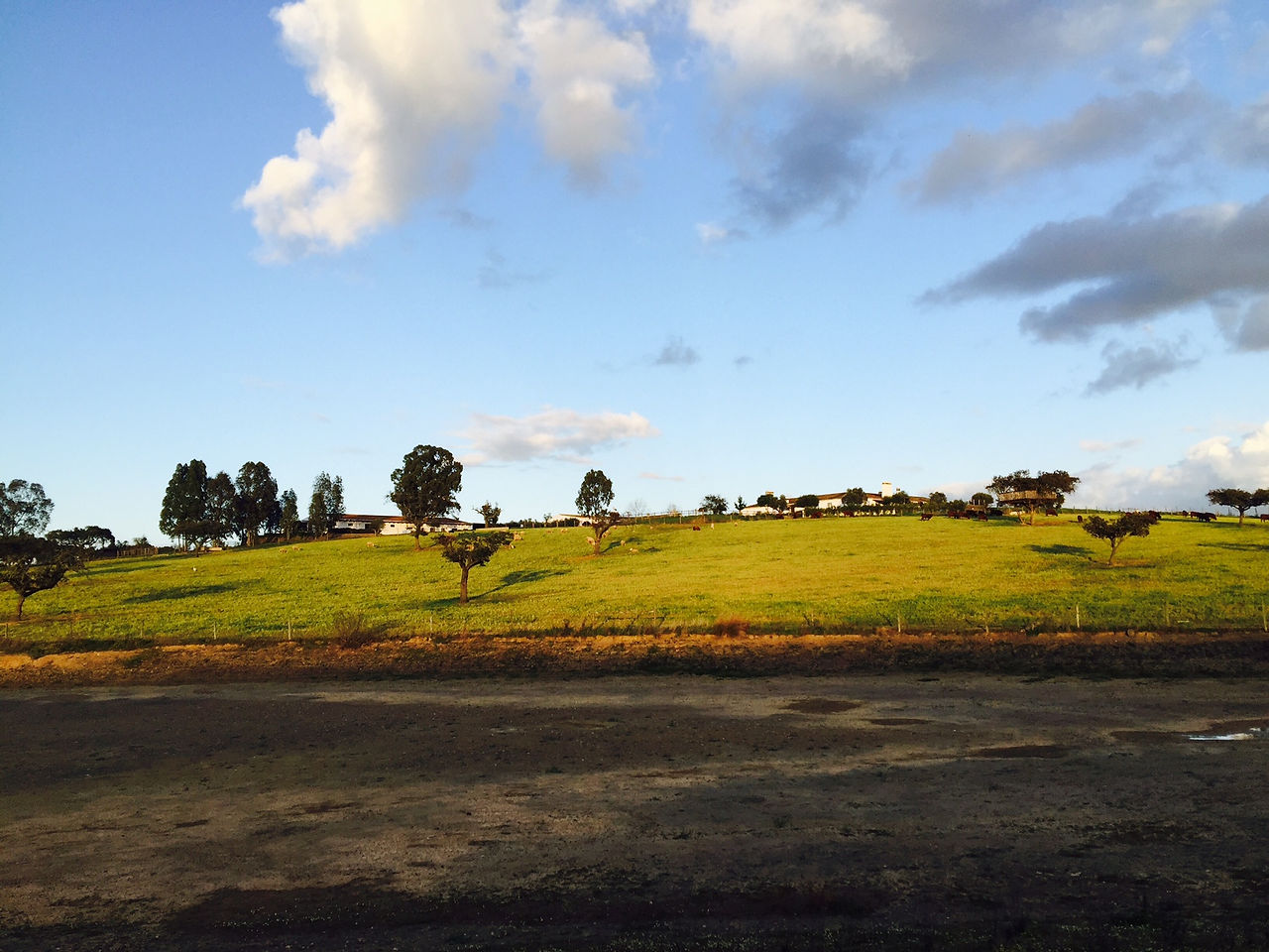 Herdade da Malhadinha