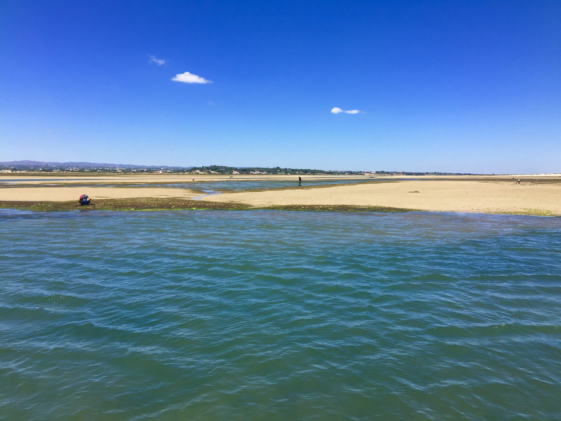 Bancos de Areia Ria Formosa