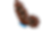 DSC_1852_edited_edited.png