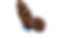 DSC_1852_edited_edited.png