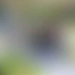 Thun & Worb Generationen Fest