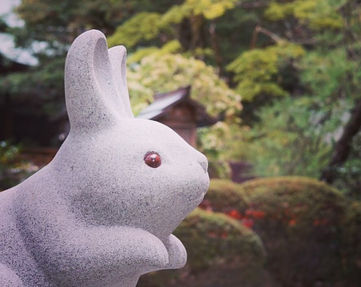 京都のうさぎ神社