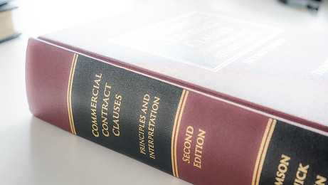 Legal Representation
