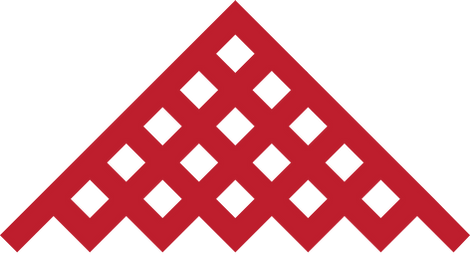 Basketweb_red2_edited_edited.png