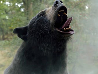 "O Urso do Pó Branco" decepciona com roteiro conservador e piadas datadas
