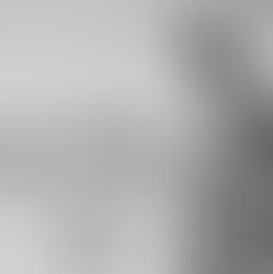 CRÍTICA | "O Estrangeiro"