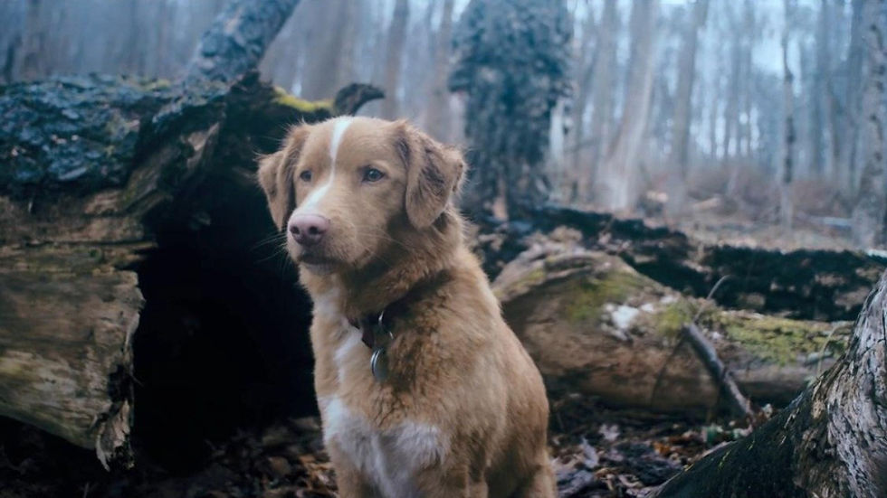 CRÍTICA | "Bom Menino"