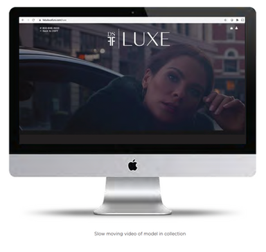 DSFF LUXE Website