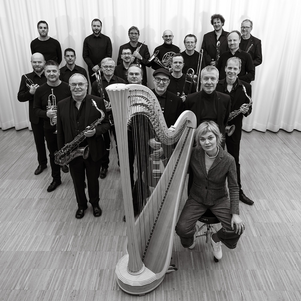 JAZZ ORCHESTRA MEETS HARP