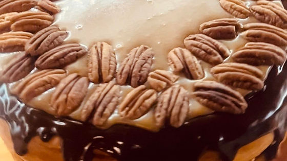 Gourmet Turtle Cheesecake