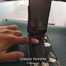 longo.jpg
