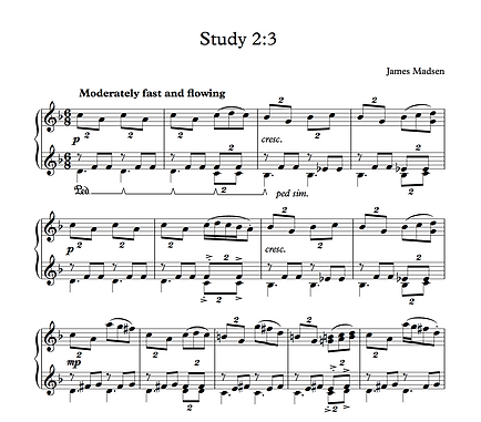 Study 2 3.png