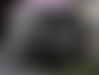 It's Hotter in the South "than a Witch's Cauldron"! Protect the "pads"! Things to Do this Weekend!