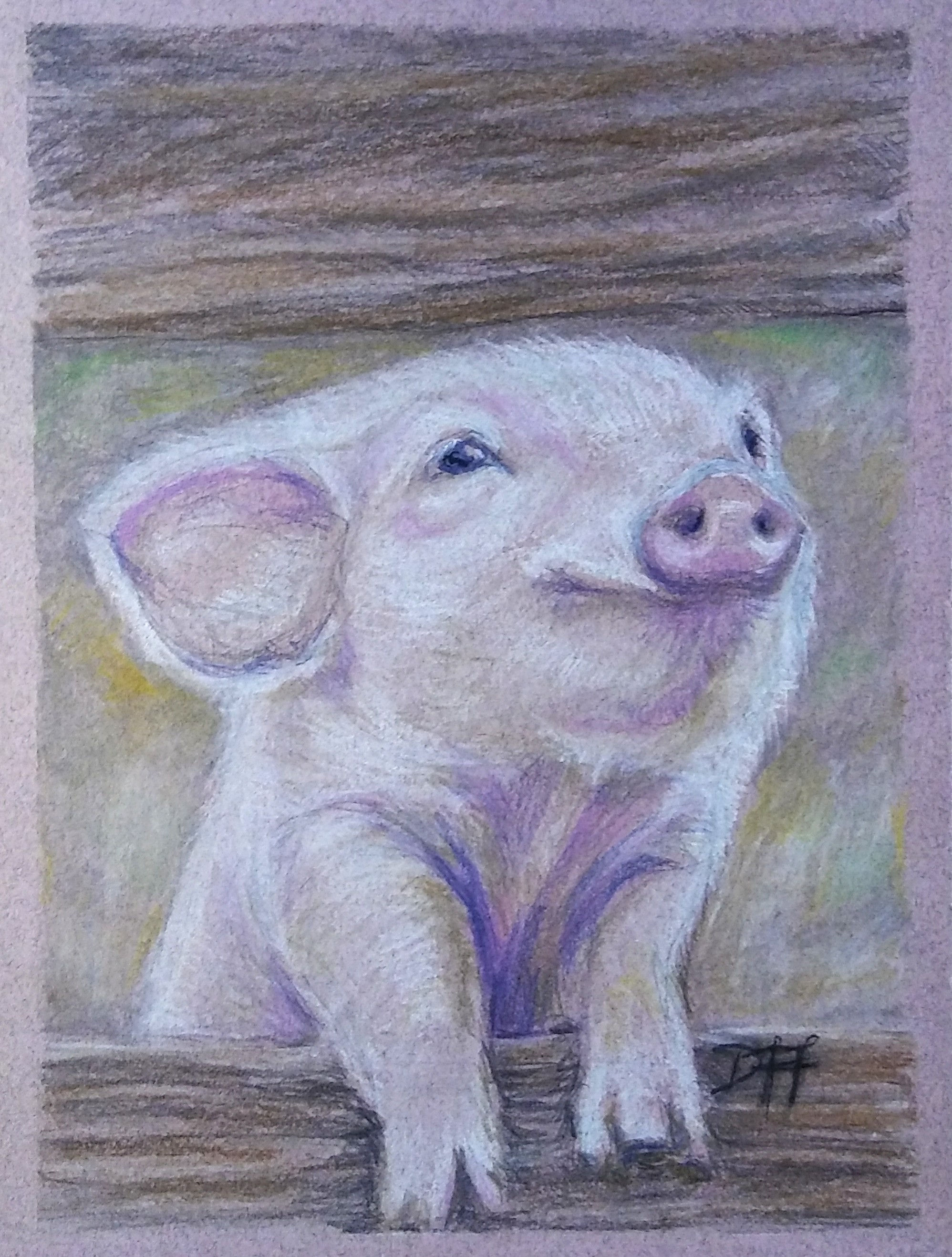 This Little Piggy Went...