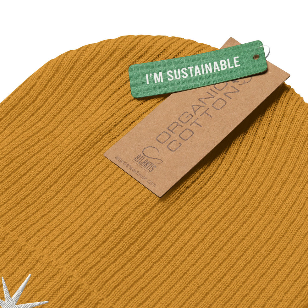 Thumbnail: Organic ribbed beanie