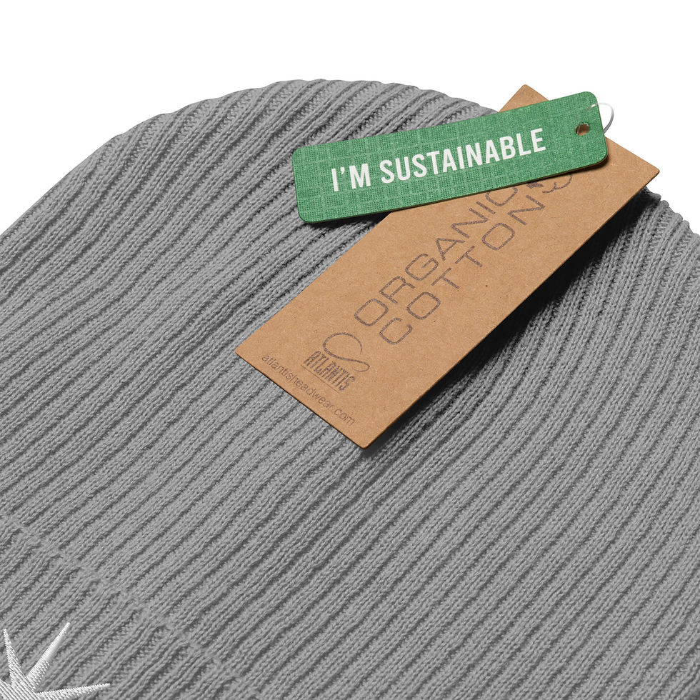 Thumbnail: Organic ribbed beanie