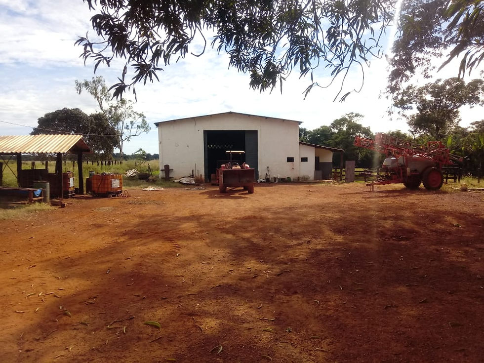 Fazenda 13