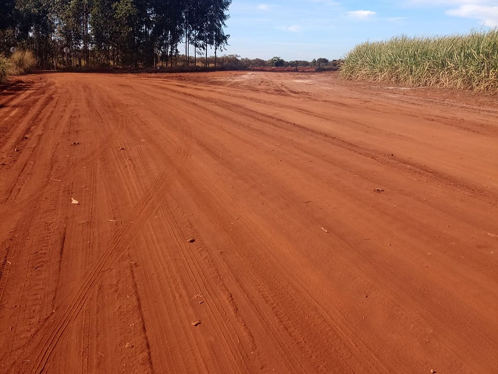 Fazenda 16