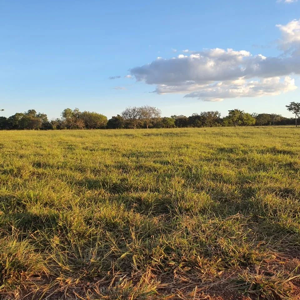 Fazenda 18