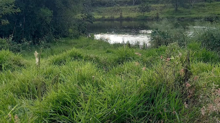 Fazenda 17