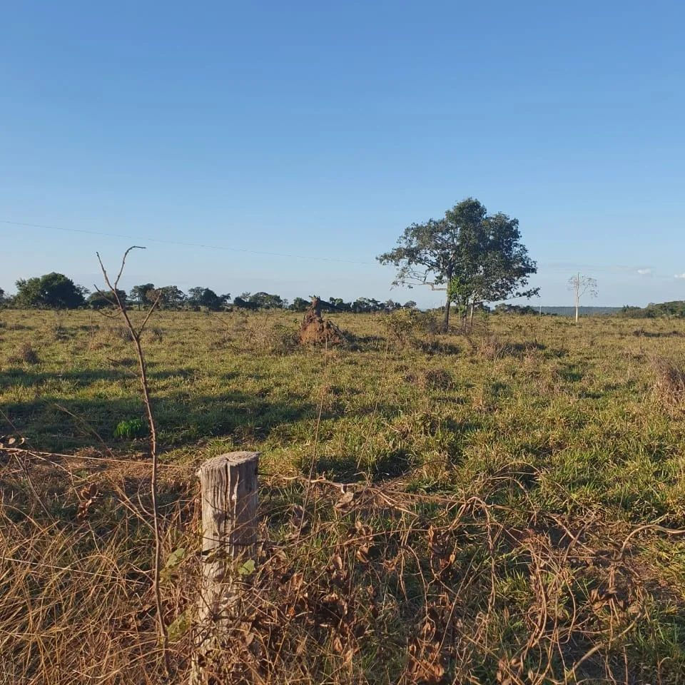 Fazenda 18