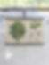 Beautiful Vintage Czech Botanical Wall Chart