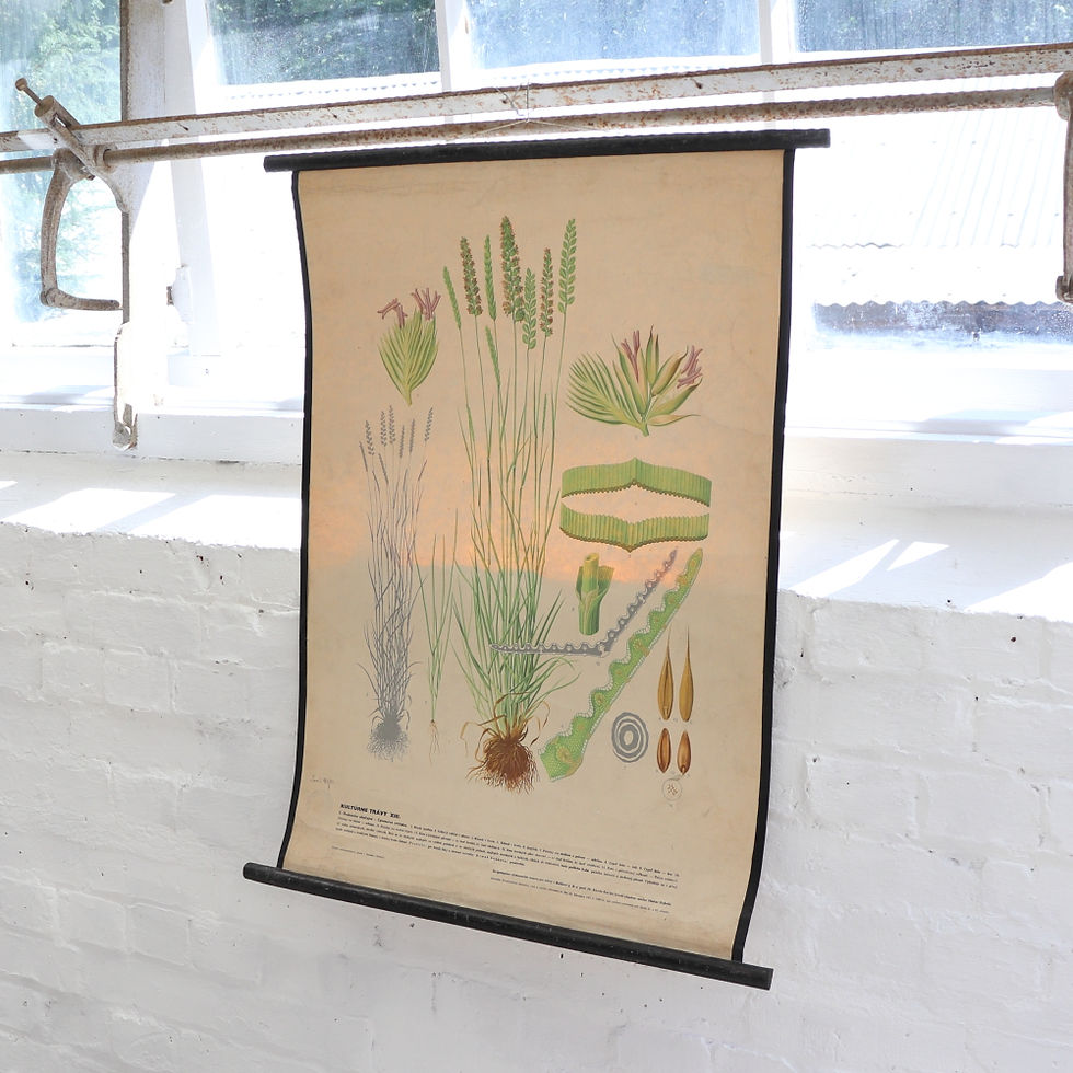 Thumbnail: Beautiful 1950s Czech Educational Wall Chart