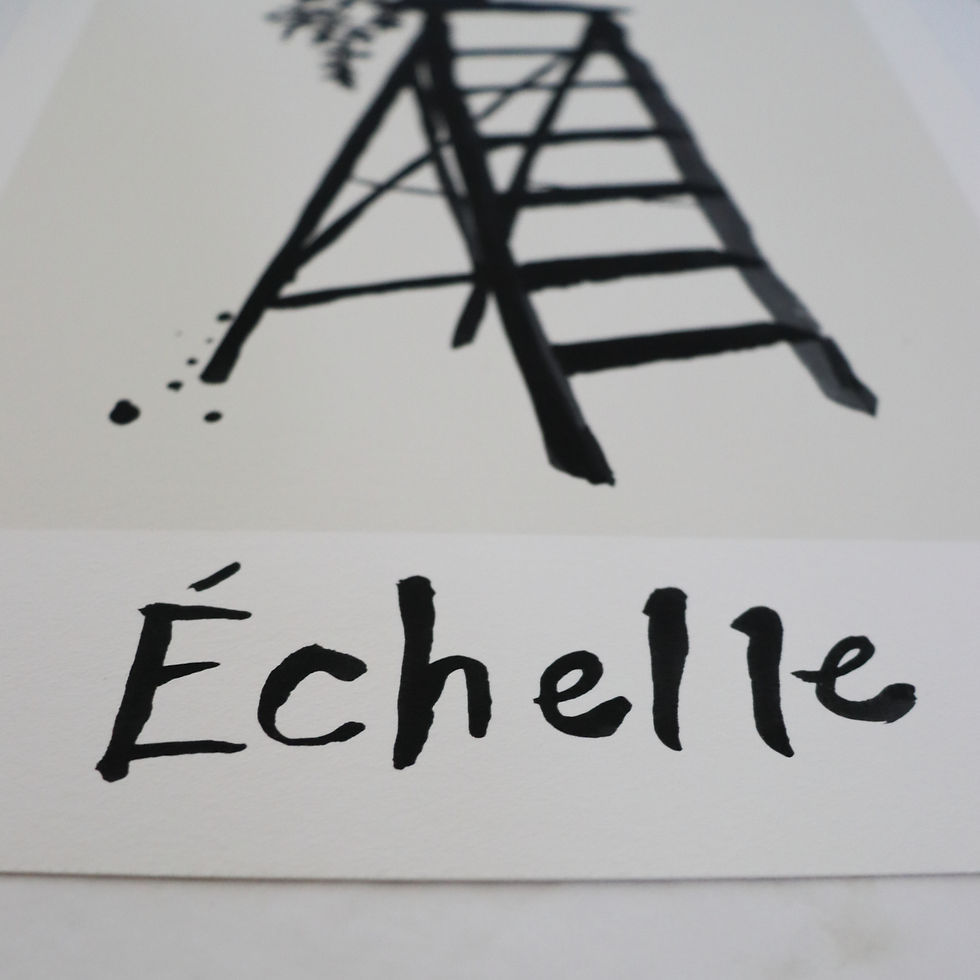 Thumbnail: Échelle Print