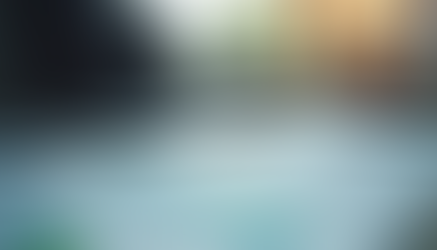 Unlock the Potential of Fractional CFO Services