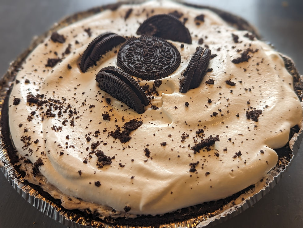 PXL_20230309_173240822.PORTRAIT