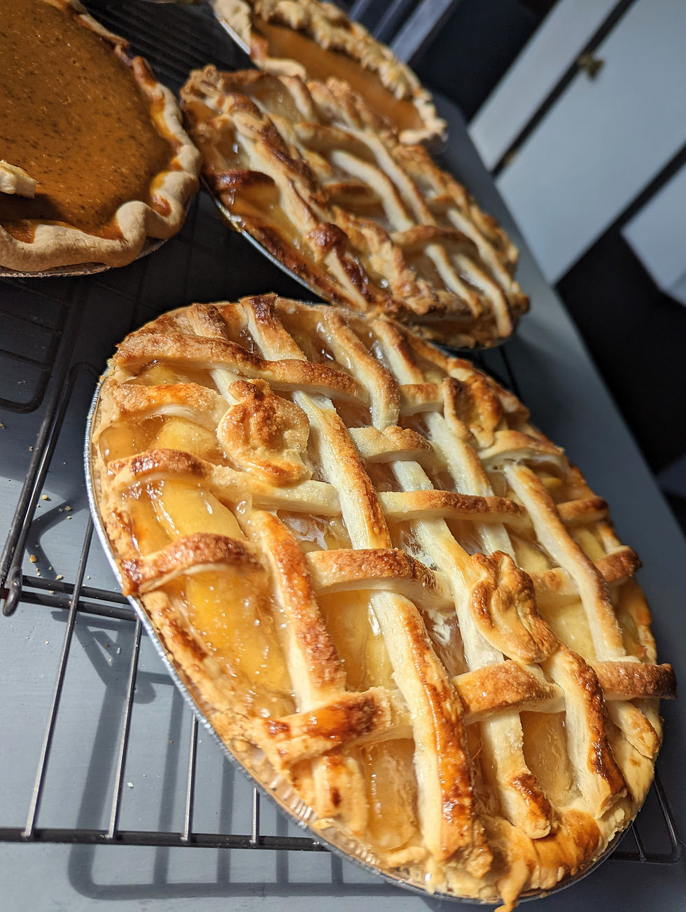 PXL_20221116_190221343